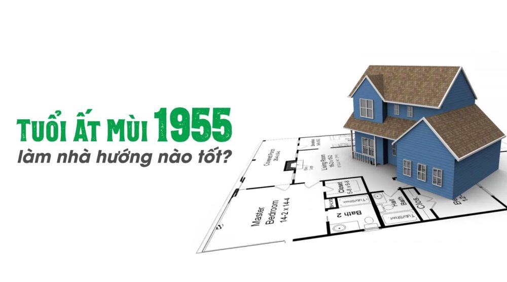 1955 hợp hướng nào làm nhà