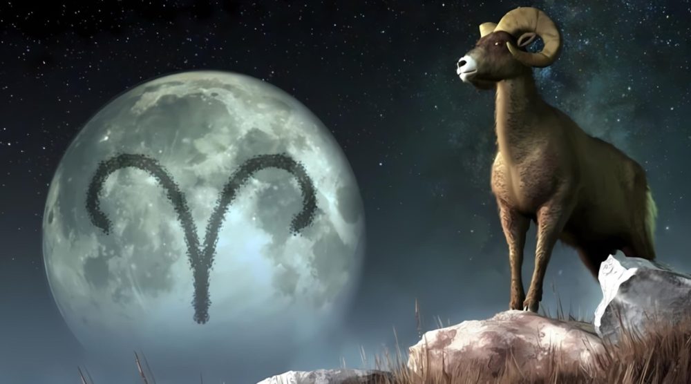 Tân Mùi 1991 hợp tuổi mùi, mão, hợi