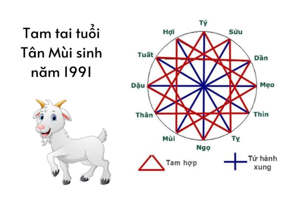 Tính tam tai Tân Mùi 1991
