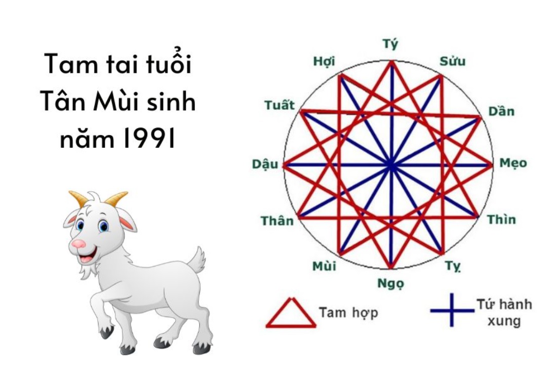 Tính tam tai Tân Mùi 1991