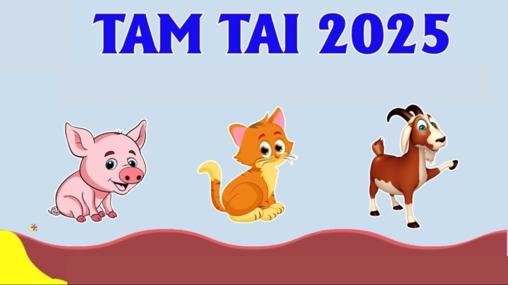 Tính tam tai Quý Mùi 2003