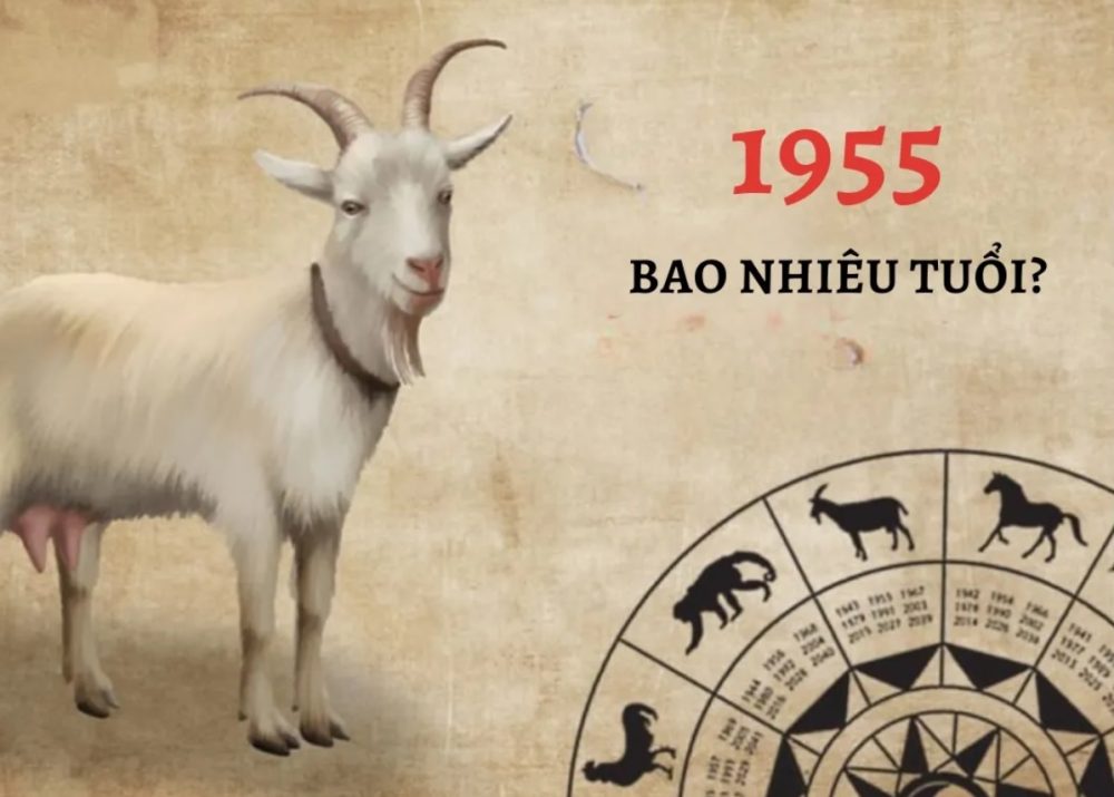 Ất Mùi 1955 tuổi con gì