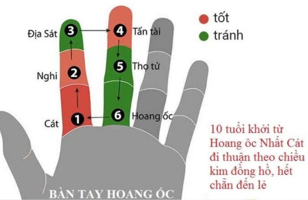 Tính hoang ốc tuổi Ất Mùi 1955