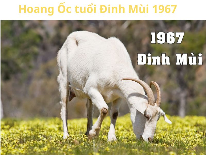 Cách Tính hoang ốc tuổi Dê