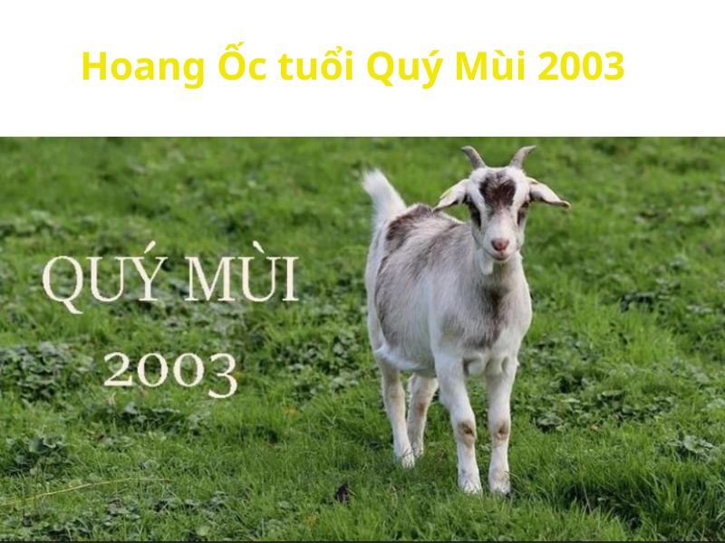 Tuổi Mùi 2003