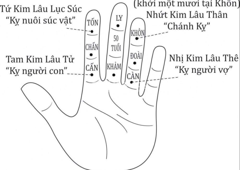 Tính kim lâu tuổi Ất Mùi 1955