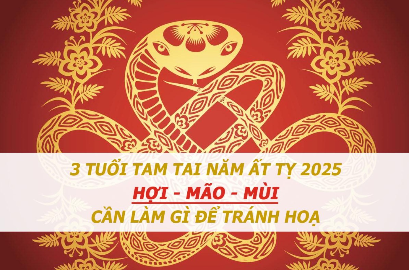 Tam tai tuổi Ất Dậu 2005