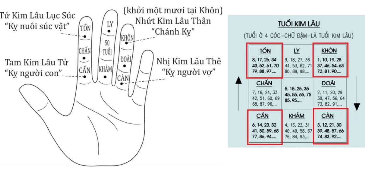 Tính hoang ốc Tuổi Tân Dậu 1981