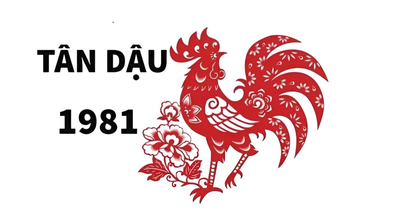 Tuổi Tân Dậu 1981 hợp tuổi Sửu với tuổi Tỵ