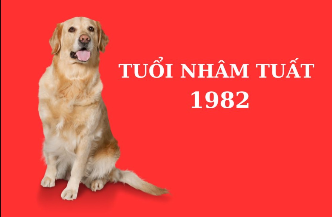 Tuổi nhâm tuất 1982