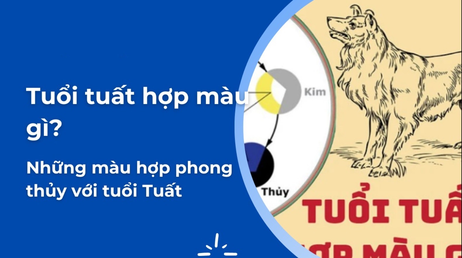 Tuổi Tuất mệnh Thủy