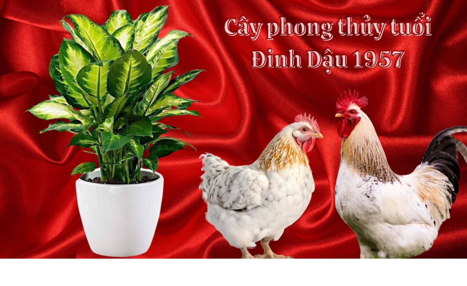 Vật phẩm hộ mệnh Đinh Dậu 1957
