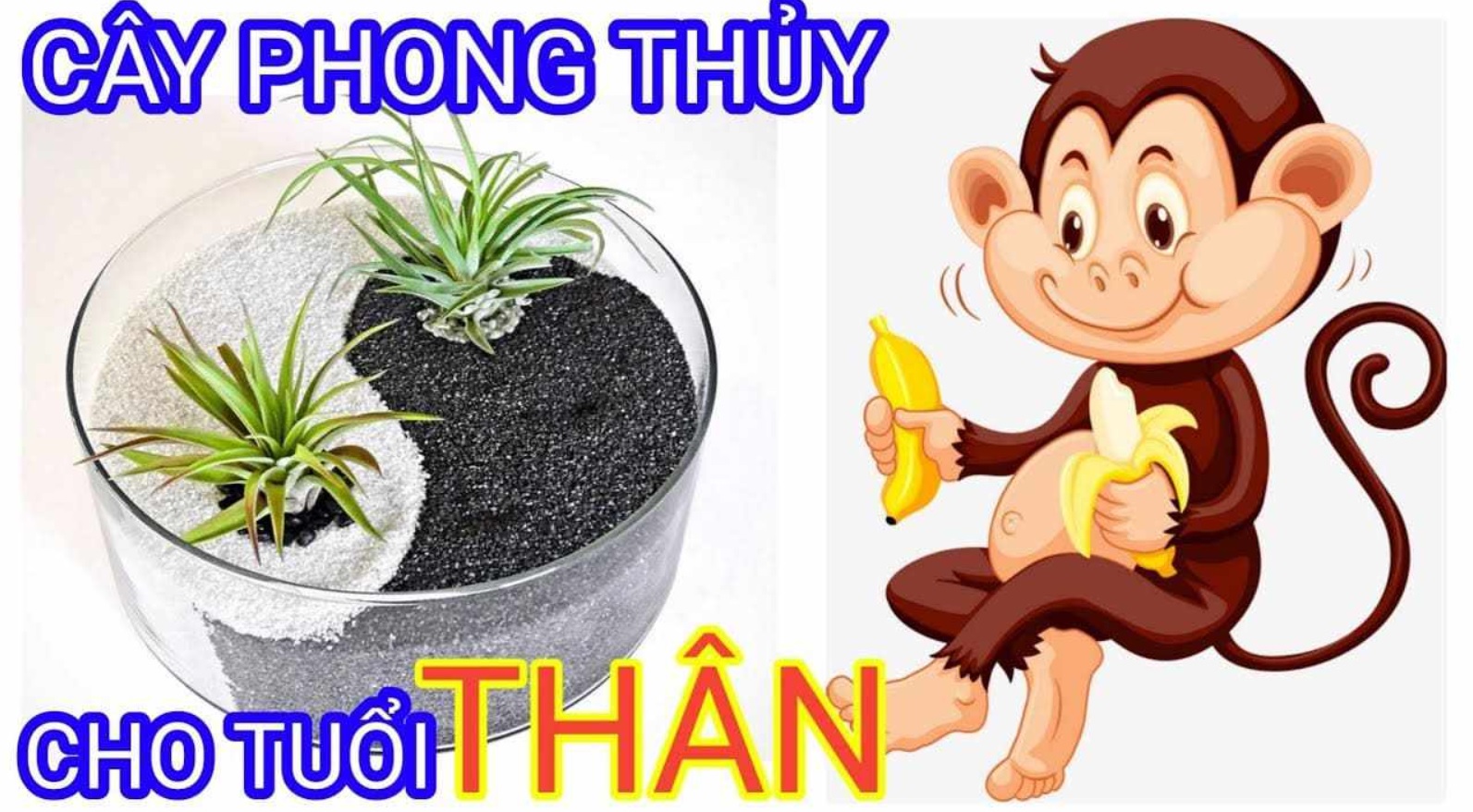Vật phẩm hộ mệnh Giáp Thân 2004