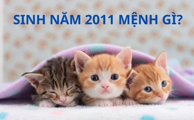 Sinh năm 2011 mệnh gì