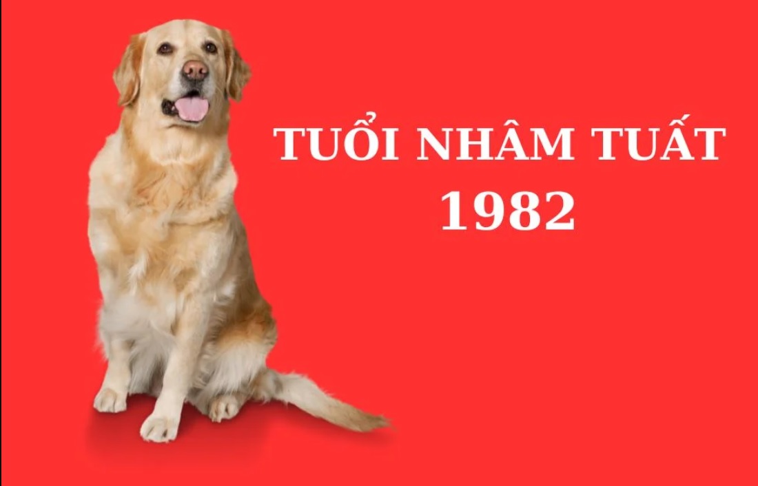 Nhâm Tuất 1982 tuổi con gì