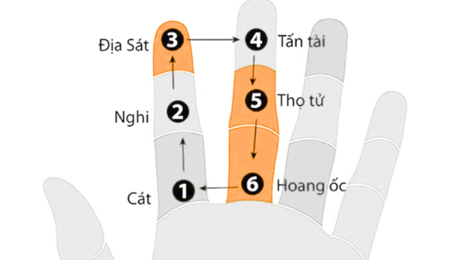 Tính hoang ốc tuổi rắn