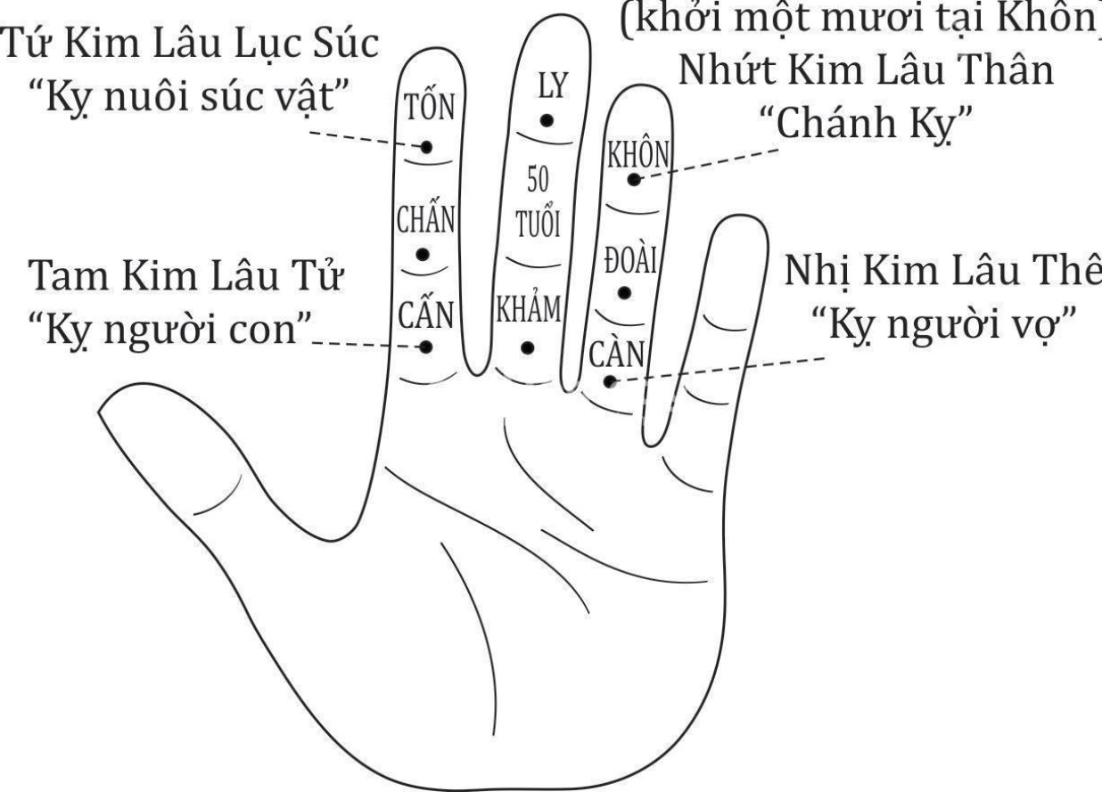 Tính kim lâu tuổi Mão