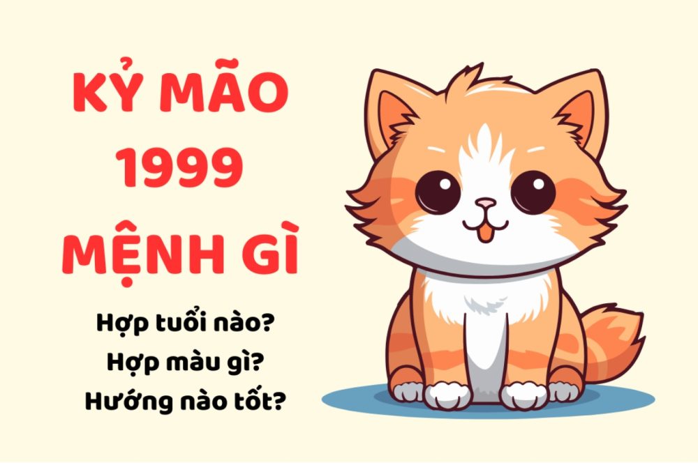 Tuổi Mão mệnh thổ hợp màu gì