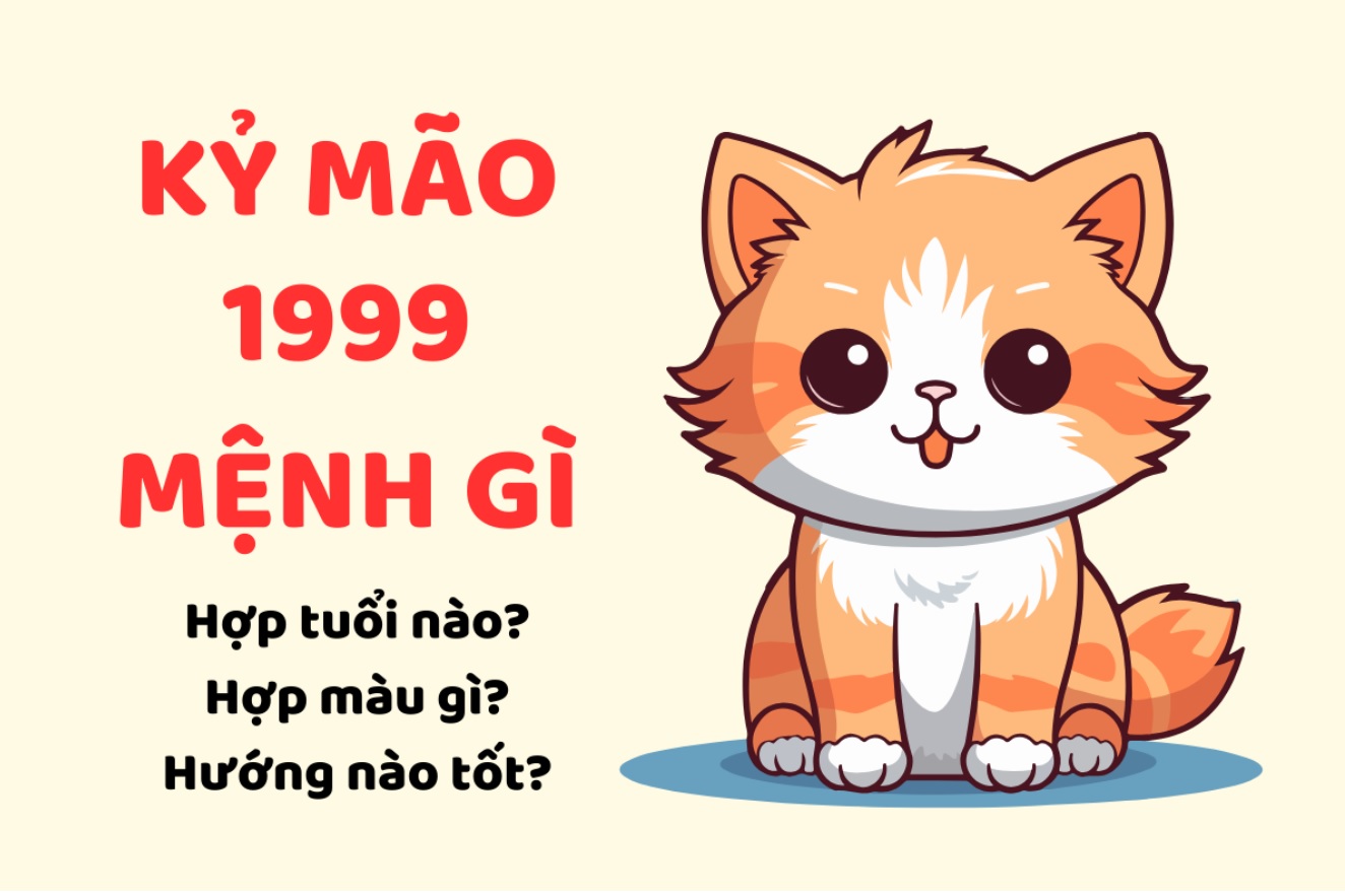 Tuổi Mão mệnh thổ hợp màu gì
