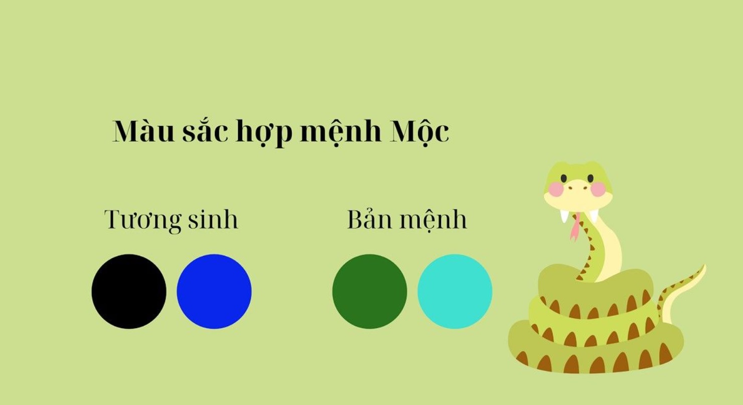 Tuổi rắn mệnh mộc hợp màu gì