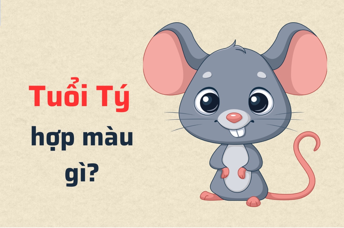 Tuổi Tý hợp màu gì