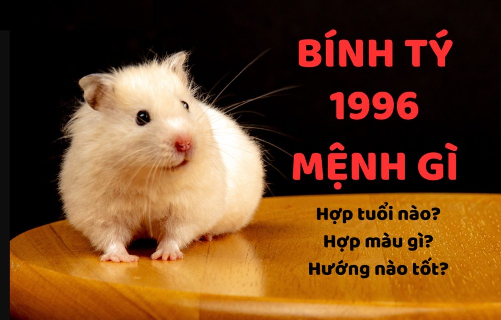 Bính Tý 1996