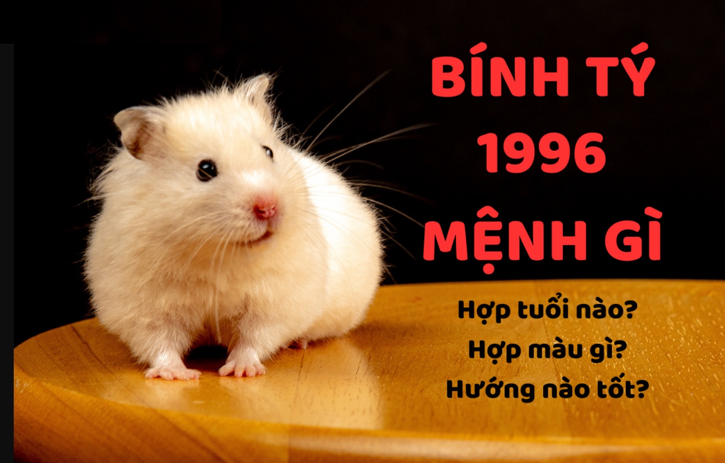 Bính Tý 1996