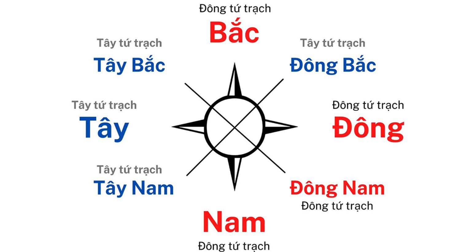 Quý Mão 1963 hợp hướng nào làm nhà